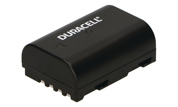 DMW-BLF19E Batteri (2 Celler)